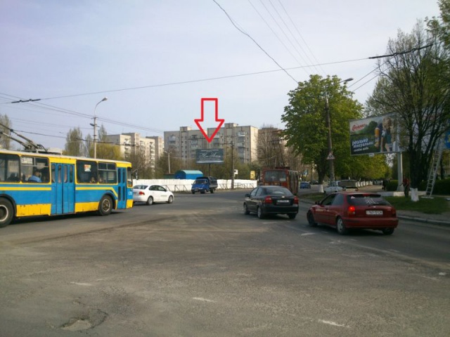 Щит 6x3,  Відродження/Молоді